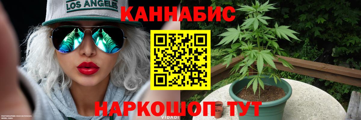 Конопля сатива Горячий Ключ
